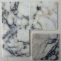 Calacatta Viola Tumbled x