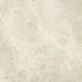 Toredo Ivory