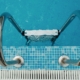 Pool Tile