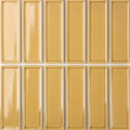 Frames Golden x