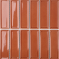 Frames Tangerine x