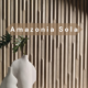 Amazonia Sola Cover