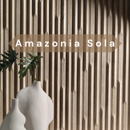 Amazonia Sola Cover