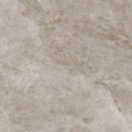 Taj Mahal Beige Silk